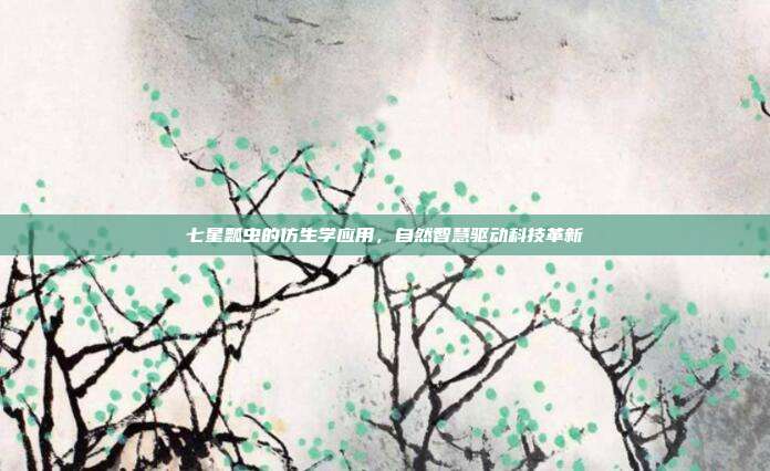 七星瓢虫的仿生学应用，自然智慧驱动科技革新