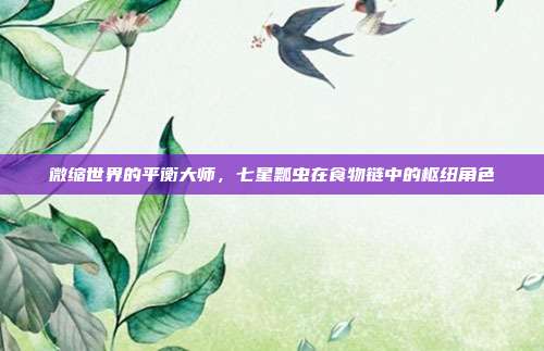 微缩世界的平衡大师，七星瓢虫在食物链中的枢纽角色