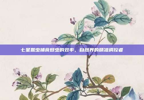 七星瓢虫捕食蚜虫的效率，自然界的精准调控者