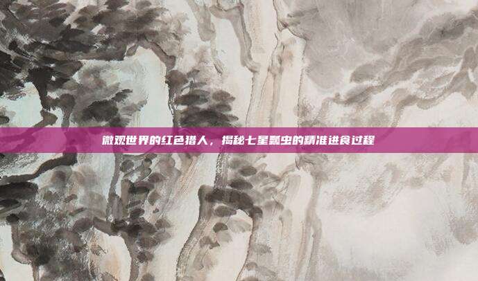 微观世界的红色猎人,揭秘七星瓢虫的精准进食过程