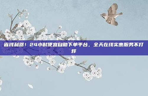 省钱利器！24小时便宜自助下单平台，全天在线实惠服务不打烊