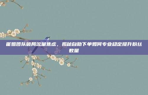 崔姐团队破局流量焦虑，揭秘自助下单如何专业稳定提升粉丝数量