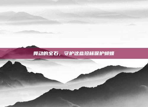 舞动的宝石，守护这些珍稀保护蝴蝶