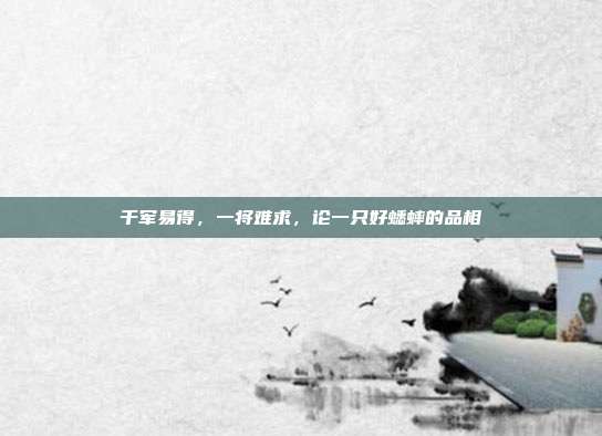 千军易得，一将难求，论一只好蟋蟀的品相