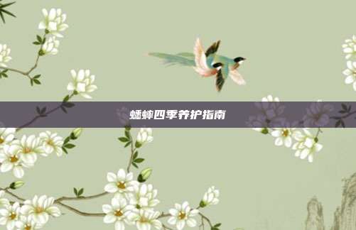 蟋蟀四季养护指南