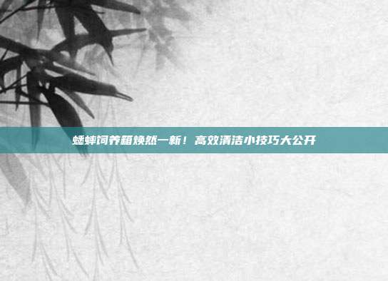 蟋蟀饲养箱焕然一新！高效清洁小技巧大公开