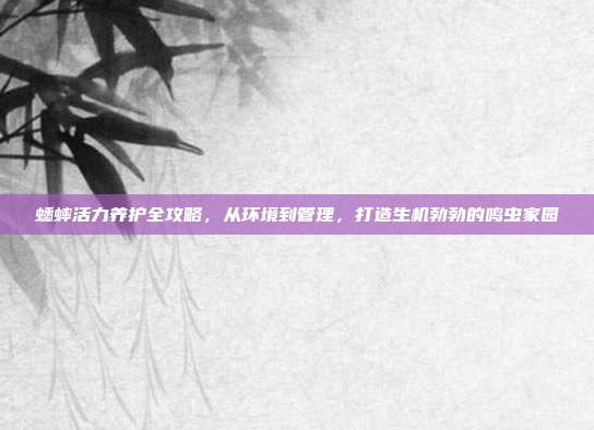 蟋蟀活力养护全攻略，从环境到管理，打造生机勃勃的鸣虫家园