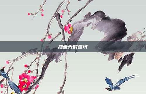 独坐光的疆域