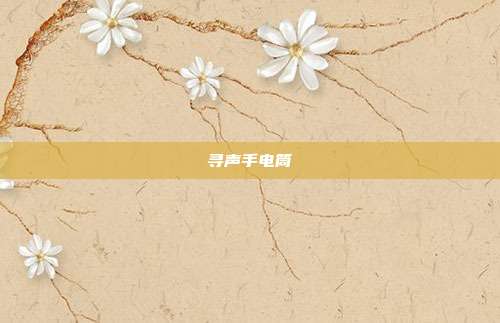 寻声手电筒