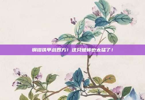 钢钳铁甲战四方！这只蟋蟀也太猛了！