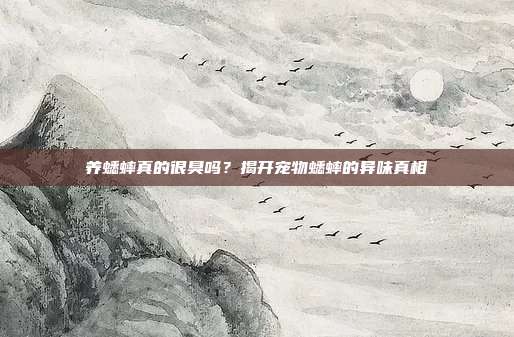 养蟋蟀真的很臭吗？揭开宠物蟋蟀的异味真相