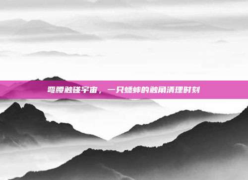 弯腰触碰宇宙，一只蟋蟀的触角清理时刻