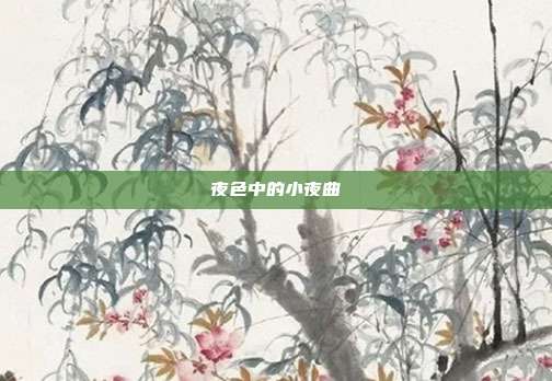 夜色中的小夜曲