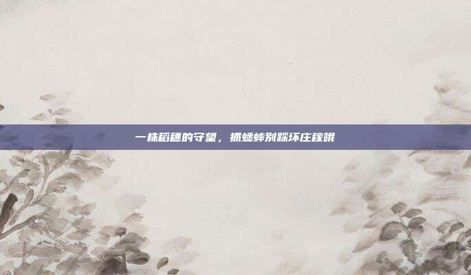 一株稻穗的守望，抓蟋蟀别踩坏庄稼哦