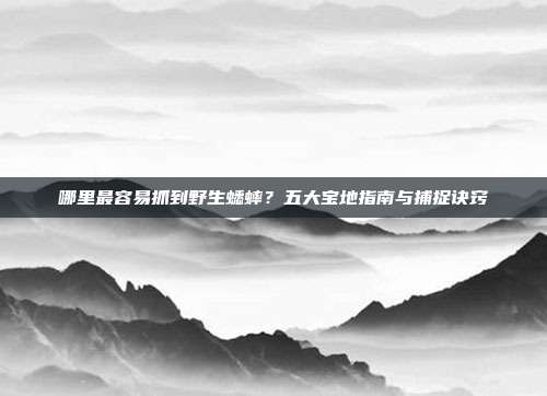 哪里最容易抓到野生蟋蟀？五大宝地指南与捕捉诀窍