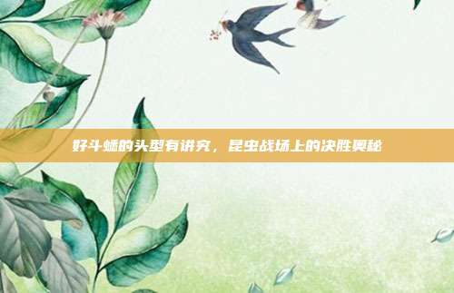 好斗蟋的头型有讲究，昆虫战场上的决胜奥秘
