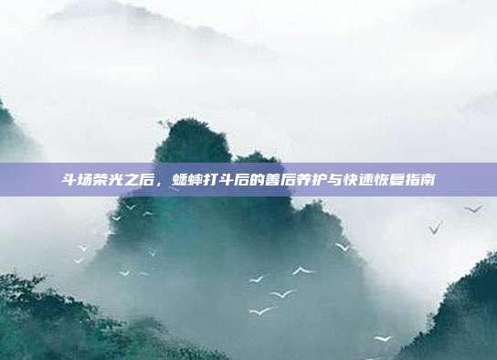 斗场荣光之后，蟋蟀打斗后的善后养护与快速恢复指南