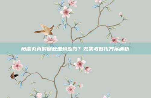 樟脑丸真的能赶走蜈蚣吗？效果与替代方案解析