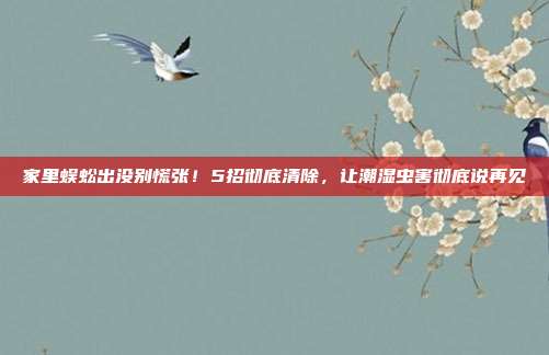 家里蜈蚣出没别慌张！5招彻底清除，让潮湿虫害彻底说再见