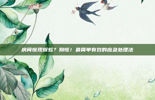 房间惊现蜈蚣？别慌！最简单有效的应急处理法
