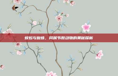 蜈蚣与蜘蛛，同属节肢动物的奥秘探析