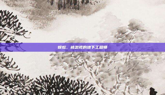 蜈蚣，被忽视的地下工程师