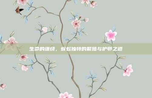 生命的缠绕，蜈蚣独特的繁殖与护卵之道