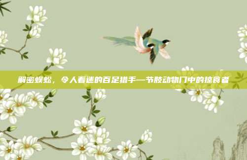 解密蜈蚣，令人着迷的百足猎手—节肢动物门中的掠食者