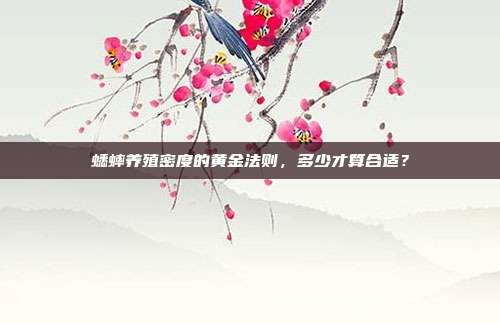 蟋蟀养殖密度的黄金法则，多少才算合适？