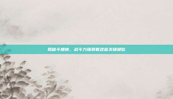 揭秘斗蟋蟀，战斗力强弱看这些关键部位