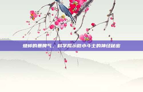 蟋蟀的暴脾气，科学揭示微小斗士的神经秘密