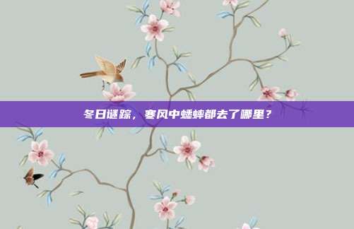 冬日谜踪，寒风中蟋蟀都去了哪里？