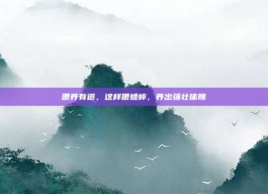 喂养有道，这样喂蟋蟀，养出强壮体魄