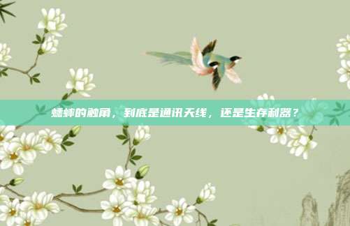蟋蟀的触角，到底是通讯天线，还是生存利器？