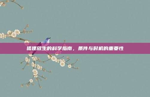 狐狸放生的科学指南，条件与时机的重要性