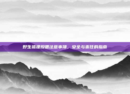 野生狐狸投喂注意事项，安全与责任的指南