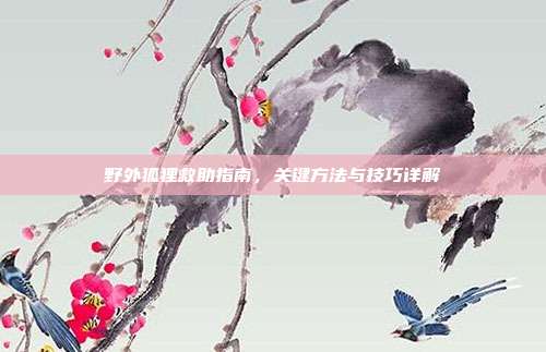 野外狐狸救助指南，关键方法与技巧详解
