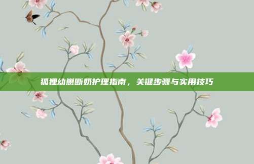 狐狸幼崽断奶护理指南，关键步骤与实用技巧