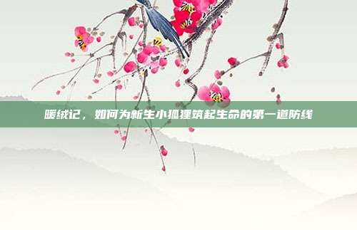 暖绒记，如何为新生小狐狸筑起生命的第一道防线