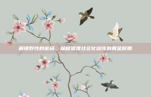 解锁野性的密码，探秘狐狸社会化训练的黄金时期