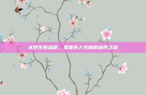 从野生到温暖，狐狸亲人性格的培养之路