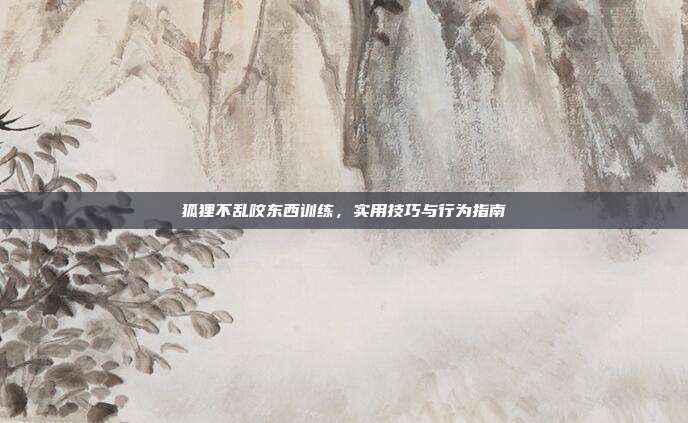 狐狸不乱咬东西训练，实用技巧与行为指南