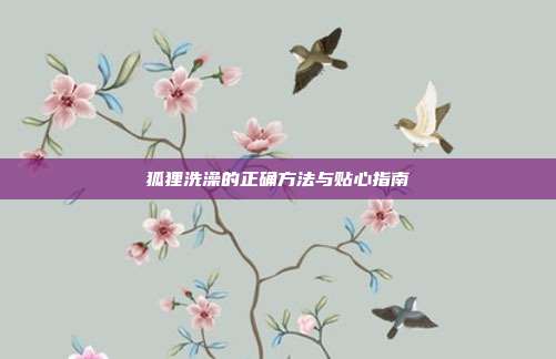 狐狸洗澡的正确方法与贴心指南