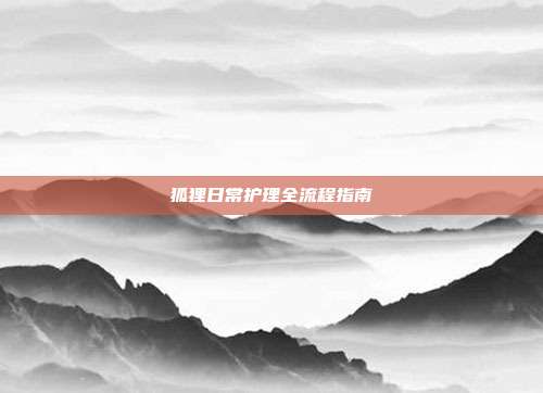 狐狸日常护理全流程指南