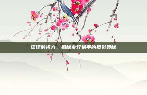 狐狸的视力，揭秘夜行猎手的视觉奥秘