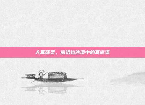大耳精灵，撒哈拉沙漠中的耳廓狐