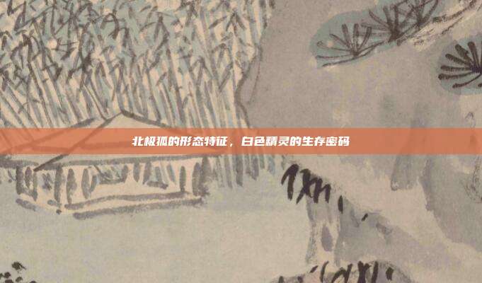 北极狐的形态特征，白色精灵的生存密码