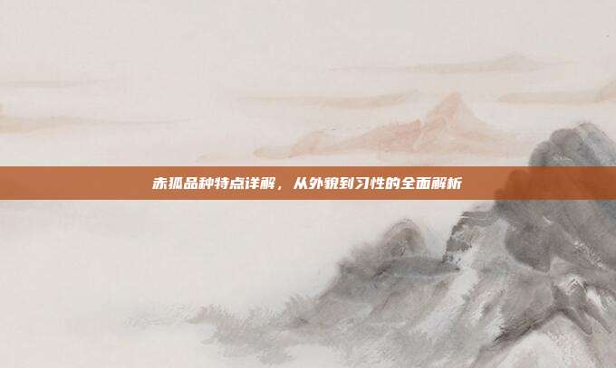 赤狐品种特点详解，从外貌到习性的全面解析