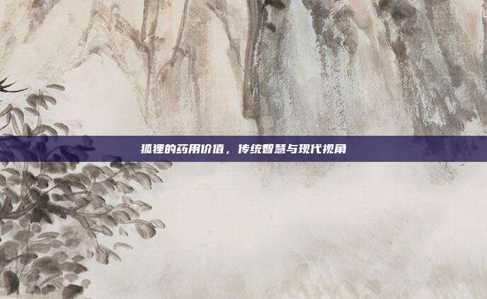 狐狸的药用价值，传统智慧与现代视角