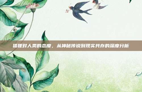 狐狸对人类的态度，从神秘传说到现实共存的深度分析